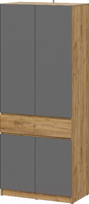 Шкаф Mio Tesoro Авиньон 2-х створчатый (дуб крафт золотой/графит серый)