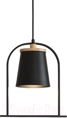 Потолочный светильник Home Light Астерия A014-0-B (черный)