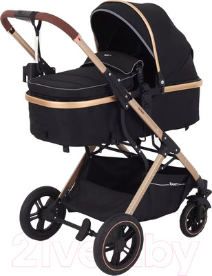 Детская универсальная коляска Rant Basic Pulsar Gold 2 в 1 / RA160  (Black)