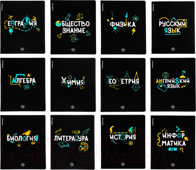 Набор предметных тетрадей Erich Krause Inscription / 62124 (12шт)