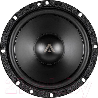 Среднечастотная АС ASPECT WLS-6MW