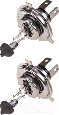 Комплект автомобильных ламп Skyway S09102010 (2шт)