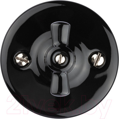 Выключатель TDM Болонь SQ1820-0210 (черный)