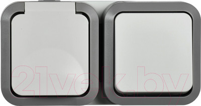 Блок выключатель+розетка IEK Tors TS-G10-6-55-V-K41 (белый)