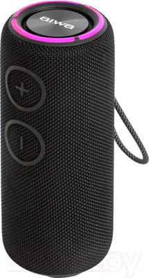 Портативная колонка Aiwa PAS-H200 (черный)