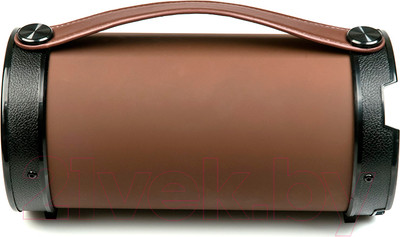 Портативная акустика Dialog Progressive AP-1000