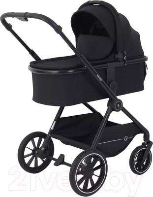 Детская универсальная коляска Rant Moss 2 в 1 / RA321 (Midnight Black)