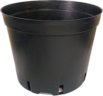 Набор горшков для рассады GreenTerra C15 (10шт)