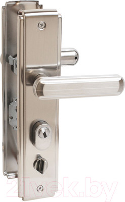 Ручка дверная Аллюр Стандарт РН-СТ261 Y SN