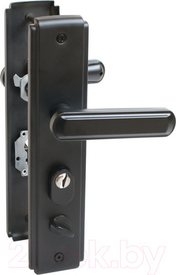 Ручка дверная Аллюр Стандарт РН-СТ261 Y BL