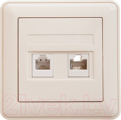 Розетка Systeme (Schneider) Electric W59 RSI-251TK5E-28