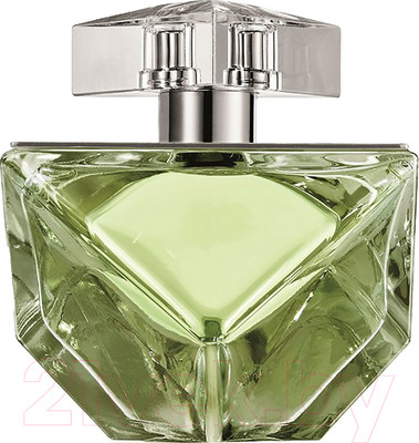 Парфюмерная вода Britney Spears Believe (100мл)