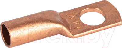 Наконечник для кабеля ЭРА ТМ 25-10-8 / Б0062573