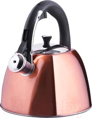 Чайник со свистком Mayer&Boch 28970