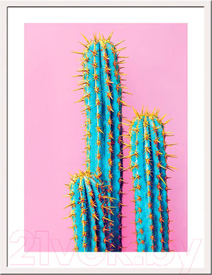 Картина Мирам Поп-арт. Кактус / 230402803 (30x40, в раме)