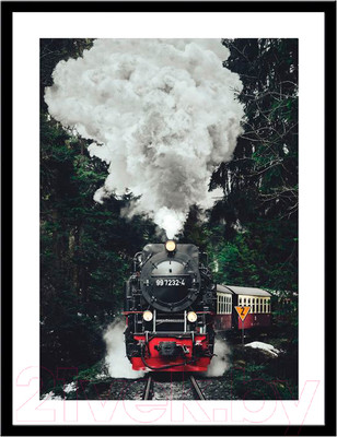 Картина Мирам Природа. Паровоз из Гарца / 230401823 (30x40)