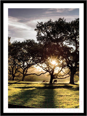 Картина Мирам Природа. Рассвет / 230401802 (30x40, в раме)