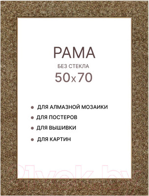 Рамка Декарт 50x70 8Л2586 (золото/бронзовый)