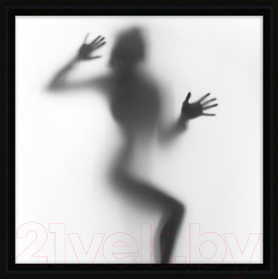 Картина Декарт Женский силуэт 1 8Л1775 (в раме)