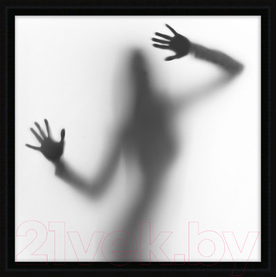 Картина Декарт Женский силуэт 2 8Л1774 (в раме)