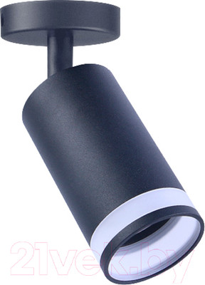 Спот Truenergy 21332