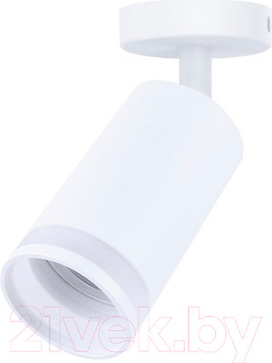 Спот Truenergy 21333