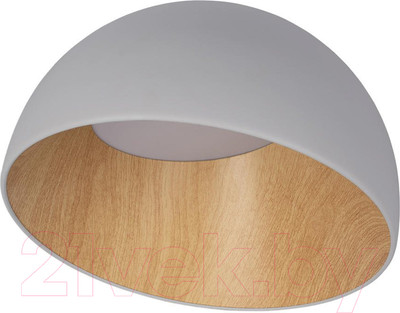 Потолочный светильник Loftit Egg 10197/350 (серый)