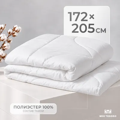 Одеяло Mio Tesoro 24-С-008 172x205