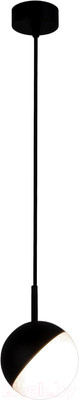 Потолочный светильник Elektrostandard Grollo 50120/1 (черный)