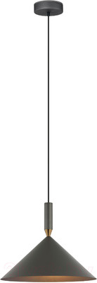 Потолочный светильник Евросвет 50024/1 (серый)