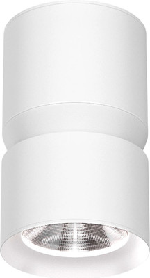 Точечный светильник Elektrostandard Kayo 25049 LED 12W 4000К (белый)
