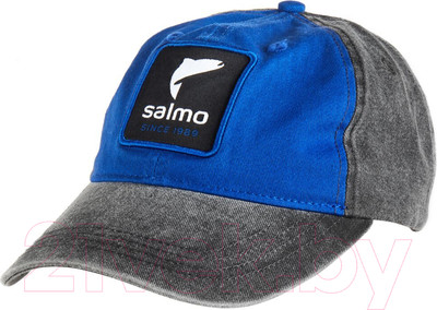 Бейсболка Salmo AM-6020