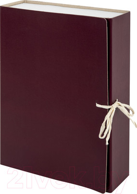 Коробка архивная Staff 126900 (бордовый)