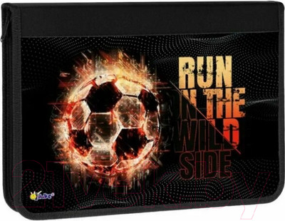 Папка для труда Оникс Fireball / ПТ-Р4