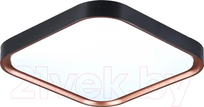 Потолочный светильник Ambrella Orbital FZ1265 BK/PGD (черный/розовое золото)