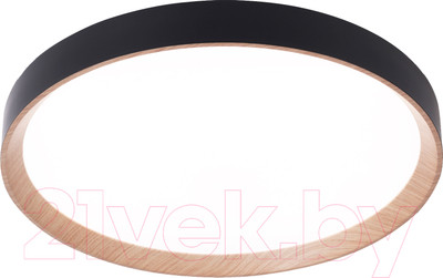Потолочный светильник Ambrella Orbital FZ1326 BK/LWD (черный/светлое дерево)