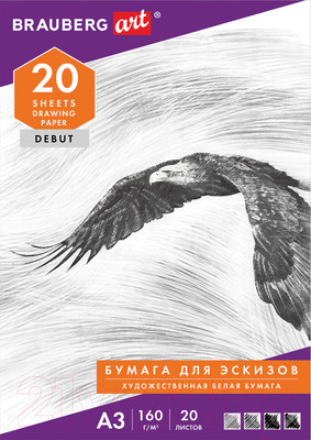 Набор бумаги для рисования Brauberg Орел / 125228 (20л)