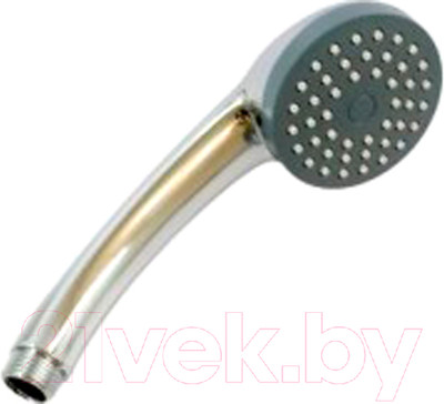 Лейка ручного душа Wisent WP004