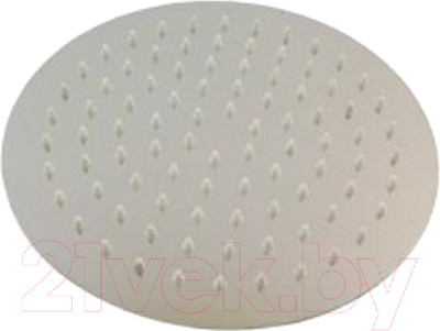 Лейка верхнего душа Wisent WP303-20