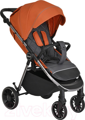 Детская прогулочная коляска Pituso Ruta / BD206 (оранжевый)