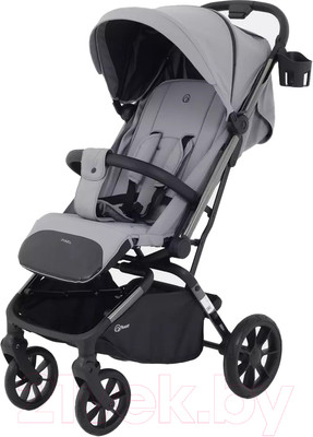 Детская прогулочная коляска Rant Pixel / RA401  (Classic Grey)