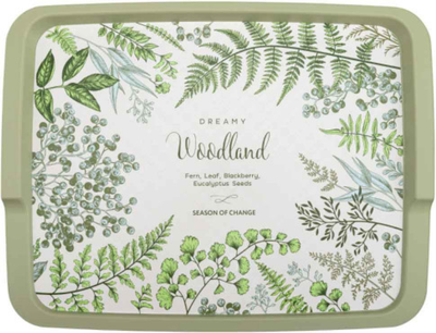 Поднос Phibo 431245209 (зеленый)