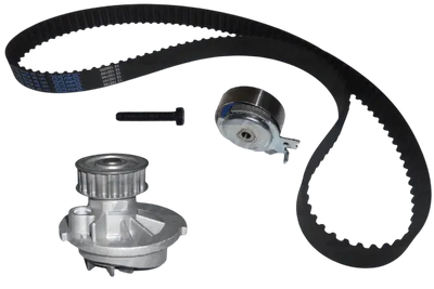 Комплект ремня ГРМ Dolz KD024