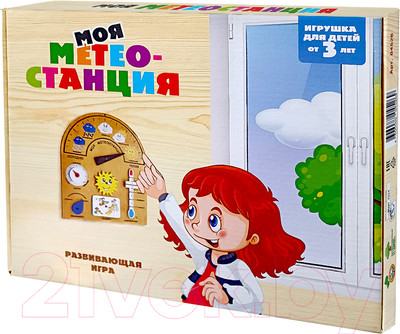 Развивающий игровой набор Десятое королевство Моя метеостанция / 04526