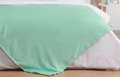 Плед Этель 10269357 (175x200, мятный)