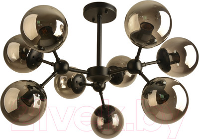 Потолочный светильник Mirastyle BL-8255/9 BK