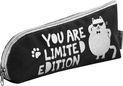 Пенал Феникс+ Кот / 62088