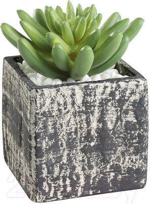 Искусственное растение Eglo Chitose 428007 (пластик, серый)