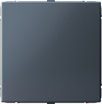 Заглушка для розетки Systeme (Schneider) Electric ArtGallery GAL000709