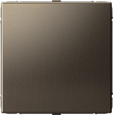 Декоративная заглушка для розетки Systeme (Schneider) Electric ArtGallery GAL000609